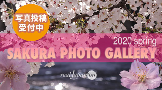 桜フォトギャラリー2020, 桜フォトコンテスト2020