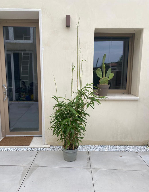 Ristrutturazione Casa Rossato (VI)