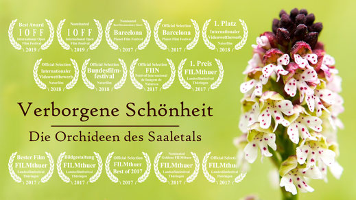 Zum Hüttenfest zeigen wir die preisgekrönte Dokumentation „Verborgene Schönheit – Die Orchideen des Saaletals“ von Naturfilmer David Cebulla aus Jena. © David Cebulla