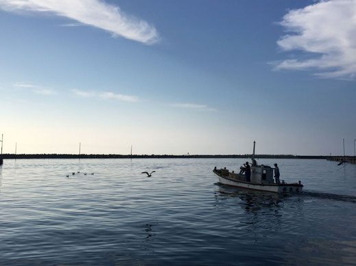 Fischerboot in Aufbruchsstimmung im Sommer