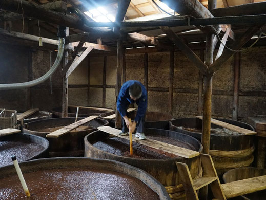 Fermentierungsprozess in Zedernholz-Fässern bei der Manufaktur Morita.