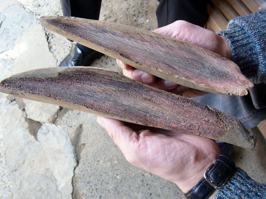 Das gereifte Katsuo-bushi nach einem tagelangen Räucher- und Fermentationsvorgang.