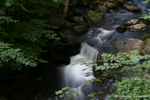 mit Wanderführer Rainer Lemmer durch die Holzbachschlucht