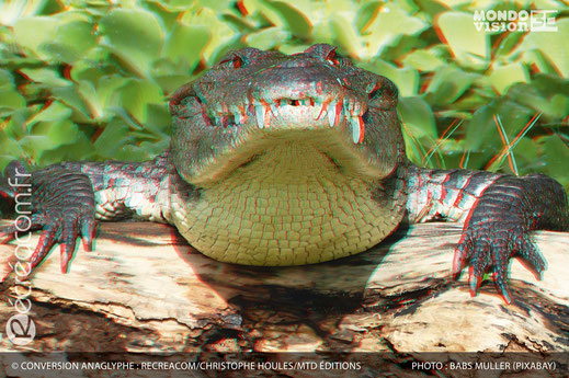 Conversion en anaglyphe 3D : Crocodile