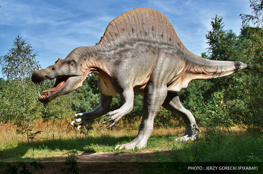 Spinosaurus