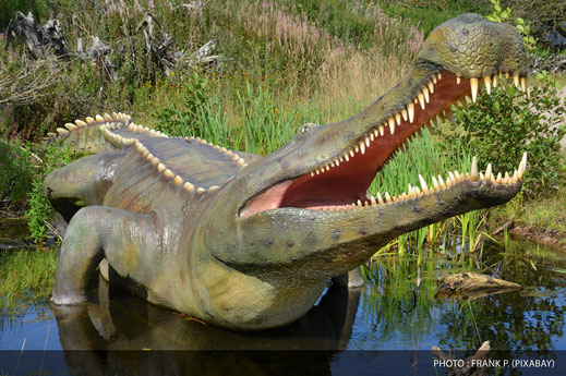 Sarcosuchus