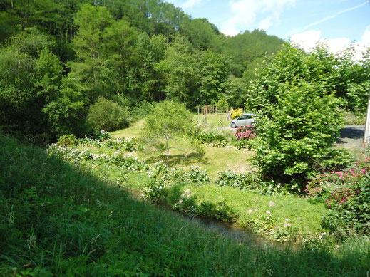 Vue sur le ruisseau, gîte Hegia à Ayherre - Pays basque