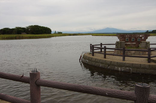 白鳥公園