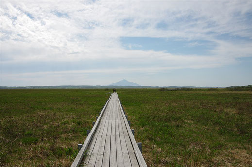 サロベツ原野