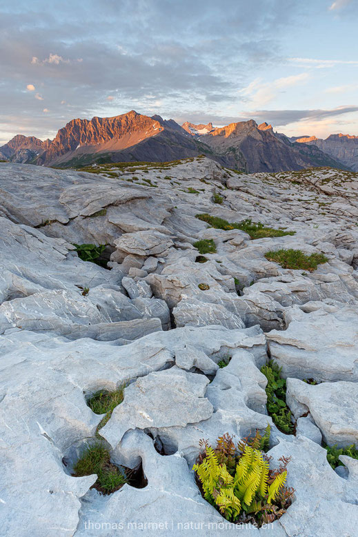 Karst, Nebel, Nebelgrenze, Alpenglühen