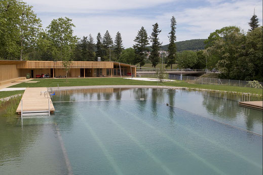 Bild-Quelle: https://www.naturbadriehen.ch/