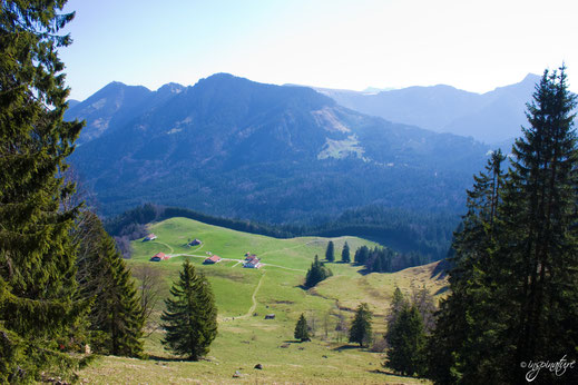 Blick von oben auf die Daffnerwaldalmen 