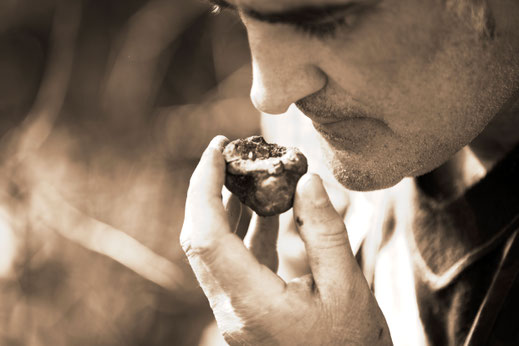 Wegen des besonderen Aromas und der aufwändigen Ernte sind Trüffel der mit Abstand teuerste Speisepilz.  Foto: djd/Oil & Vinegar