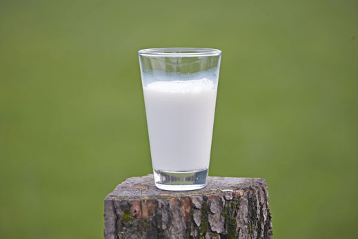 Der Pro-Kopf-Verbrauch von Trinkmilch liegt in Deutschland seit vielen Jahren auf einem konstant hohen Niveau - 2015 wurden hierzulande im Durchschnitt 54 Liter pro Kopf konsumiert. Foto: djd/Landesvereinigung der Milchwirtschaft/Marco Grundt