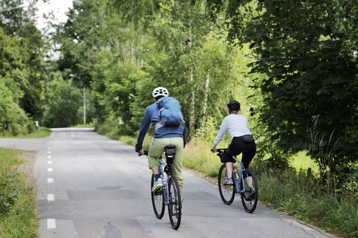Nordic Refuge, accommodation, hotel in Dalsland Sweden, cycling