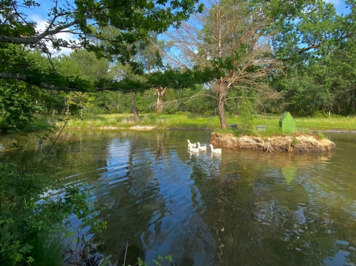 week-end pilates en foret