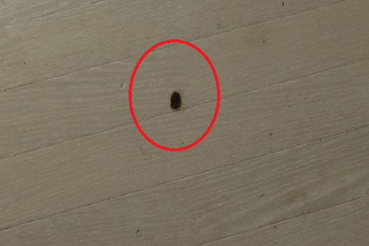 タバコによるクッションフロアの焦げ