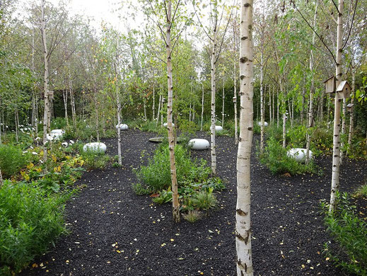 Jardin intitulé "dans les yeux de mère nature"