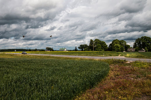 strasse-durch-laendliche-idylle-litauen