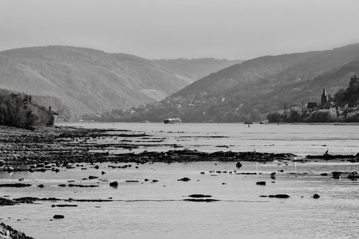 Sanfte Hügellandschaft am Rhein mit Boot im Hintergrund, im Vorderrund sieht man die Steine, weil der Rhein Niedrigwasser führt. Foto in monochrome. Kostenlos und lizenfrei downloade bei mjpics.de