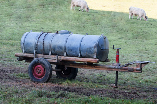 Milch-oder Tankwagen steht auf der Weide. Im Hinterrund sind helle Kühe zu sehen