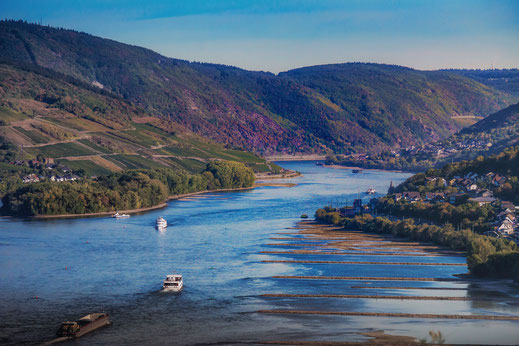 Blick auf die Rheinlandschaft bei Bacharach