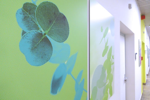 Hauptgang mit Eukalyptus Motiven und Farbakzenten, Kunst für Kliniken als Orientierung und Wohlbefinden.