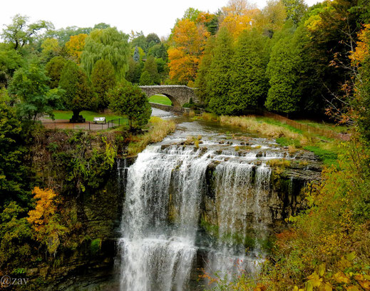 Andy Zav - Websters's Falls photo