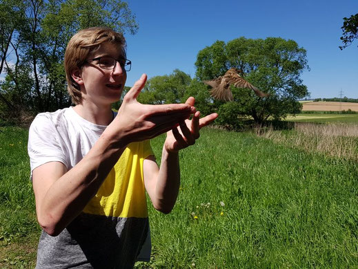 Bild: Viktor Geitner