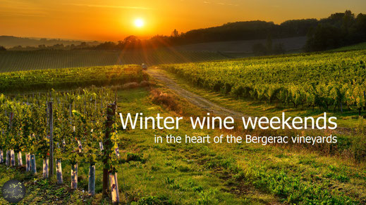 Bergerac vineyards