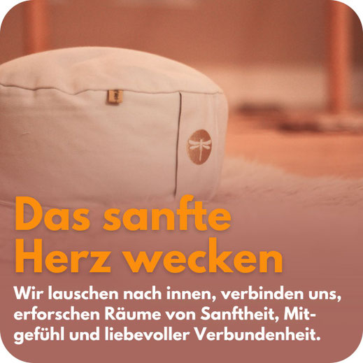 Weißes Meditationskissen auf hellem Untergrund in warmen Rosatönen. Darüber der Schriftzug: „Das sanfte Herz wecken“. Untertitel: „Wir lauschen nach innen, verbinden uns, erforschen Räume von Sanftheit, Mitgefühl und liebevoller Verbundenheit.“