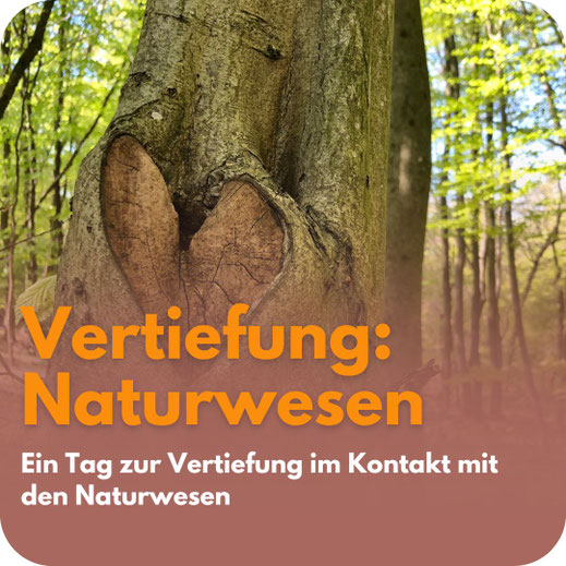 Baumstamm mit herzförmiger Verwachsung im grünen Wald. Text: „Vertiefung: Naturwesen"