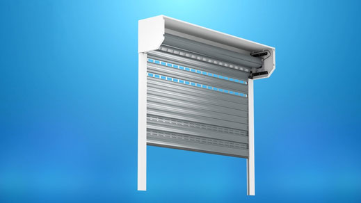 Elektrisches Garagentor - Fenster nach Mass