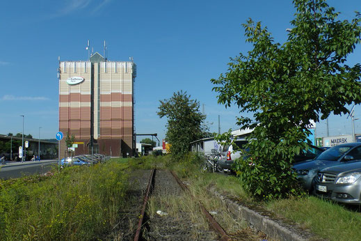 Die Gleise - Bahnsteiggleis und Umsetzgleis (unter Unkraut) - der Freigerichter Bahn sind noch heute (2017) vorhanden, rechts die Bahnsteigkante.                                                                                                           
