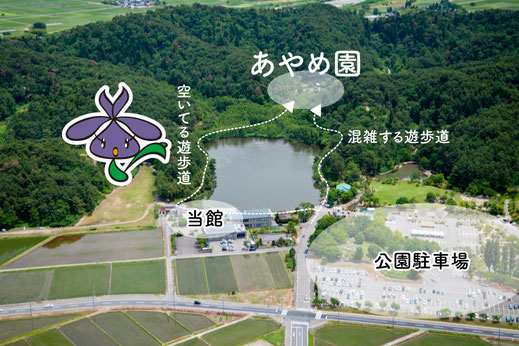 しばたあやめまつり｜新発田あやめ祭り【五十公野公園あやめ園】の徒歩ルート