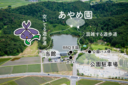 しばたあやめまつり｜新発田あやめ祭り【五十公野公園あやめ園】の徒歩ルート