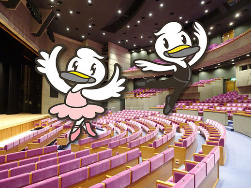 〈新発田市民文化会館の大ホール〉