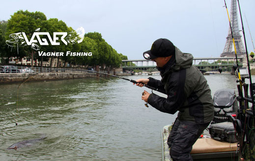 Vagner Fishing - Peter Merkel befischte sehr Erfolgreich den Fluss Seine der direkt am Eifelturm in Paris vorbei fliest.