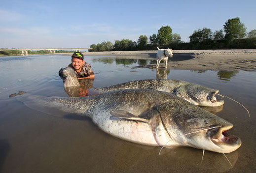 Wie immer half Benny fleissig mit und belohnte sich an einem sonnigen Nachmittag mit zweimal über 2 Meter aus dem grossen Fluss.