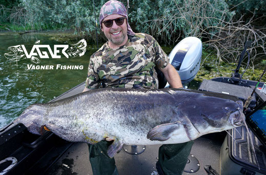 Vagner Fishing - In Deutschland fische ich gerne an meinen Hausgewässern Neckar und Rhein