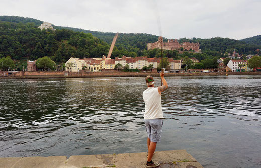 Angler wirft Blinker weit über das Ziel hinaus!  Mehrere Einschläge eines großen Blinker, ein sogenannter Spinköder zum aktiven angeln auf Wels, wurden am Samstagnachmittag im Garten des Heidelberger Schlosses verzeichnet. Der Übeltäter war schnell gefund