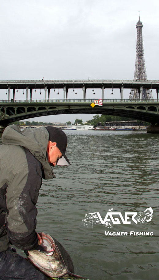 Vagner Fishing - Peter Merkel befischte sehr Erfolgreich den Fluss Seine der direkt am Eifelturm in Paris vorbei fliest.