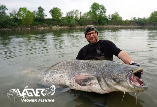 Vagner Fishing - Peter Merkel hält hier glücklich einen schönen Wels in den Händen. Fangort war der italienische Fluss Po in Norditalien.