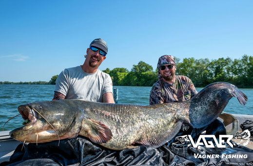 Vagner - Fishing Peter Merkel und Angelpartner konnten beim Pelagisch angeln auf Wels schon viele kapitale Welse fangen.