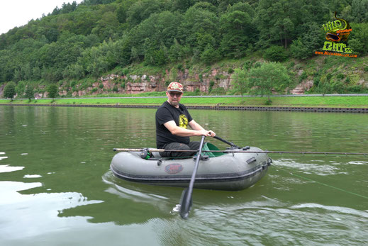 Welsangeln in Deutschland wir vermuten das sich der Fluss allgemein verändert hat und den Welsen der Lebensraum nicht mehr ideal zugesagt hat. Der große Teil der Welse wird in den Rhein abgewandert..