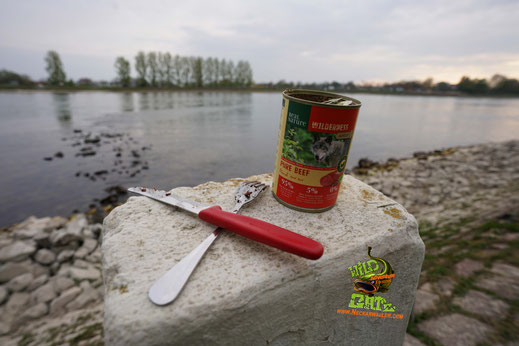 Welsangler am Rhein sollten mit festem Schuhwerk und wettergeeigneter Kleidung ausgerüstet sein und eine kleine Stärkung für eine Pause unterwegs dabeihaben.