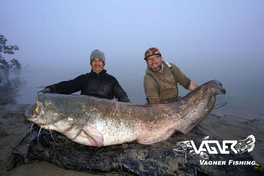  Vagner Fishing -  Welsangeln im Herbst ist meist von Fangerfolgen gekrönt, weil sich die Welse vor dem Winter eine fette Speckschicht anfressen.