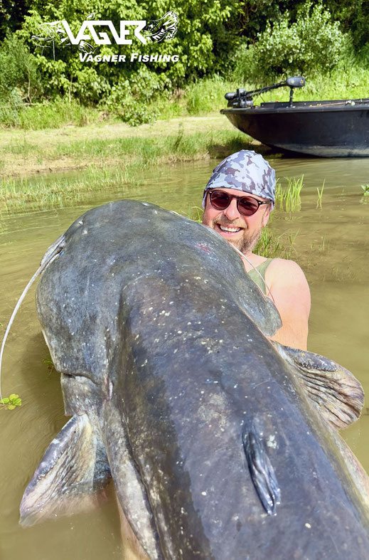 Vagner Fishing - Anbiss der die Rutenspitze der V-Spin bis unter die Wasseroberfläche riss, der Fisch zog mit all seiner Kraft in Richtung Flussmitte.