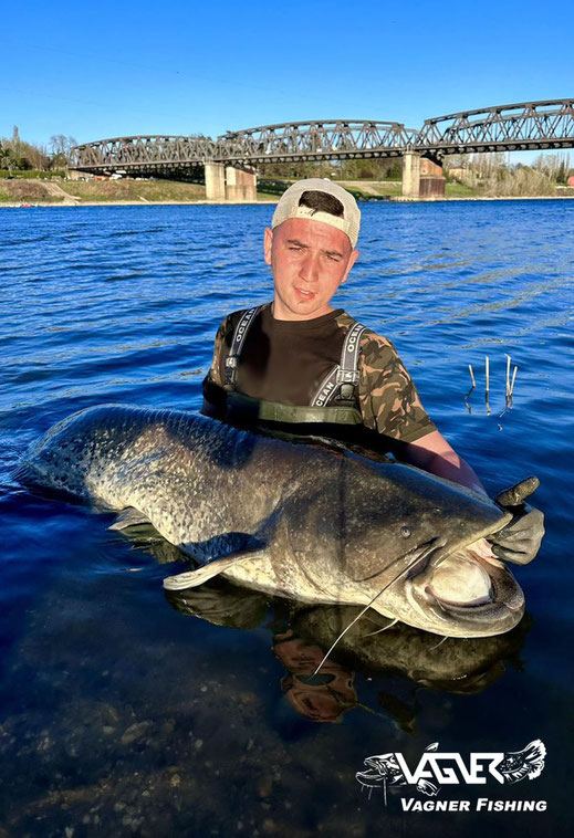 Vagner Fishing - Übrigens jetzt im Frühjahr stehen die Chancen auf dem Fang seines Lebens sehr gut. Den bei hohen Wassertemperaturen steigt auch der Hunger der Welse. 