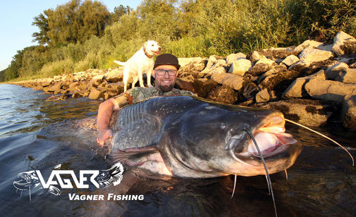 Vagner Fishing -  Peter Merkel mit einem kapitalen Wels aus Deutschland. Welsangeln in Deutschland ist für mich einer der größten schönsten Herausforderungen.